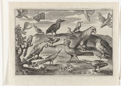 Lúpulo e outras aves Pássaros e insetos (título da série) de Nicolaes de Bruyn