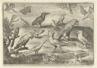 Lúpulo e outras aves
Aves e insectos (título da série) de Nicolaes de Bruyn