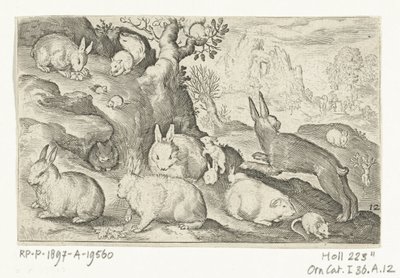 Coelhos, esquilo, porquinho-da-índia e rato
Animalivm qvadrvpedvm (título da série)
Animais em paisagens (título da série) de Nicolaes de Bruyn