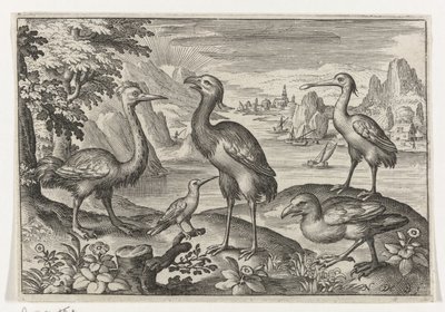 Guindaste coroado entre duas avestruzes Pássaros e insetos (título da série) de Nicolaes de Bruyn