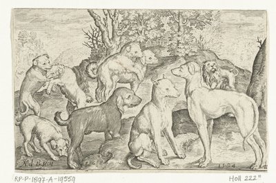Nove cães
Animalivm qvadrvpedvm (título da série)
Animais em paisagens (título da série) de Nicolaes de Bruyn