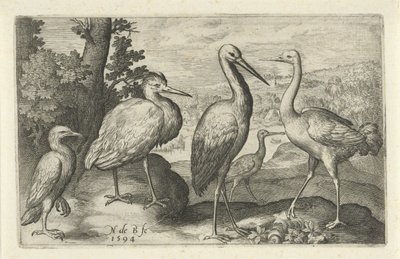 Cegonha, guindaste, garça e colhereiro
Aves e insectos (título da série) de Nicolaes de Bruyn