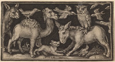 Coruja nas costas do burro, pássaro nas costas do camelo com outros animais de Nicolaes de Bruyn
