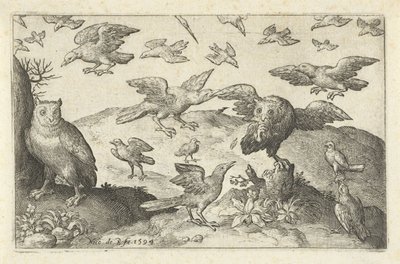 Coruja com presa predada por outras aves Pássaros e insetos (título da série) de Nicolaes de Bruyn