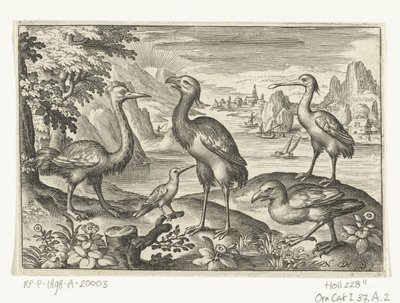 Cinco pássaros incluindo o colhereiro
Aves e insectos (título da série) de Nicolaes de Bruyn