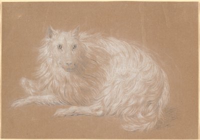 Um cão de pêlo comprido deitado de Nicolai Abildgaard