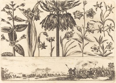 Estampa de Flores nº 10 de Nicolas Cochin after Balthasar Moncornet