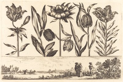 Estampa de Flores nº 11 de Nicolas Cochin after Balthasar Moncornet