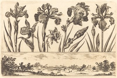 Estampa de Flores nº 3 de Nicolas Cochin after Balthasar Moncornet
