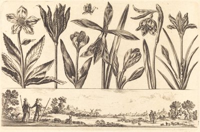 Impressão de flores nº 4 de Nicolas Cochin after Balthasar Moncornet