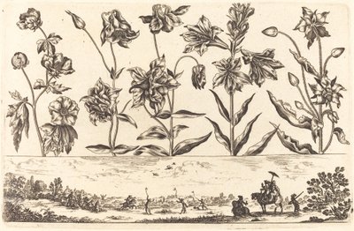 Impressão de flores nº 6 de Nicolas Cochin after Balthasar Moncornet