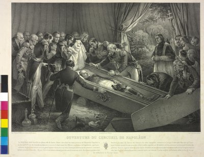 Imperador dos franceses Napoleão I Bonaparte de Nicolas Eustache Maurin