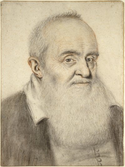 Cabeça de um homem de barba (giz colorido sobre papel) de Nicolas Lagneau or Lanneau