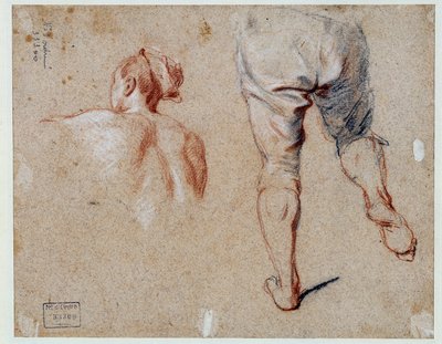 Estudo de anatomia Desenho a óleo por Nicolas Vleughels (1668-1737) Paris do século XVIII, Museu do Louvre de Nicolas Vleughels