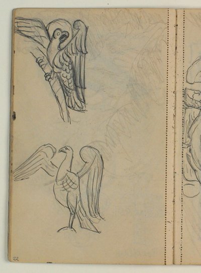 Estudos de aves, provavelmente após publicação de Niels Larsen Stevns