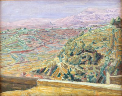 Vista da Praça do Castelo, Cagnes de Niels Larsen Stevns