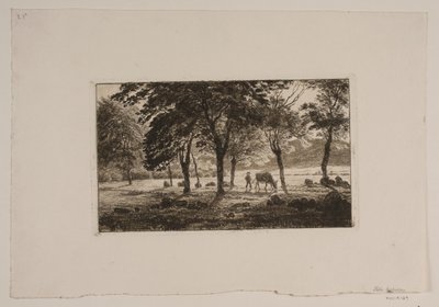 A Avenida de Niels Skovgaard