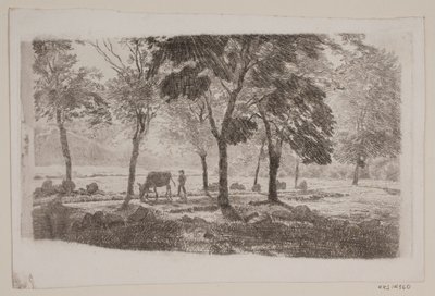A Avenida de Niels Skovgaard