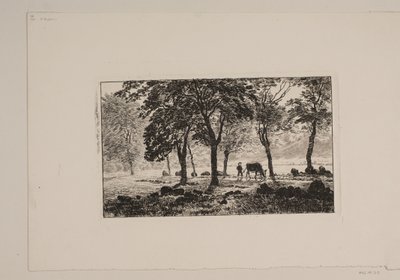 A Avenida de Niels Skovgaard