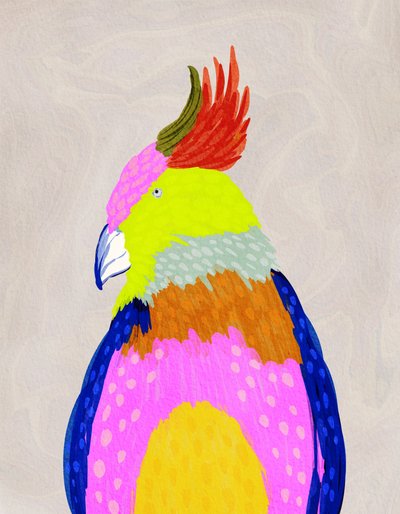 Papagaio tropical colorido de Nikita Jariwala