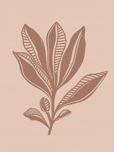Desenho botânico natural de Nikita Jariwala