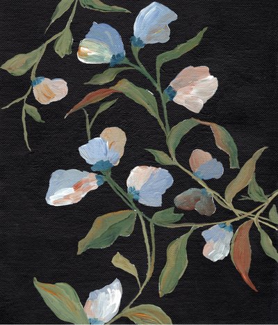 Flores de ervilha-de-cheiro de Nikita Jariwala