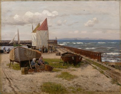 Junto à costa de Nils Hansteen