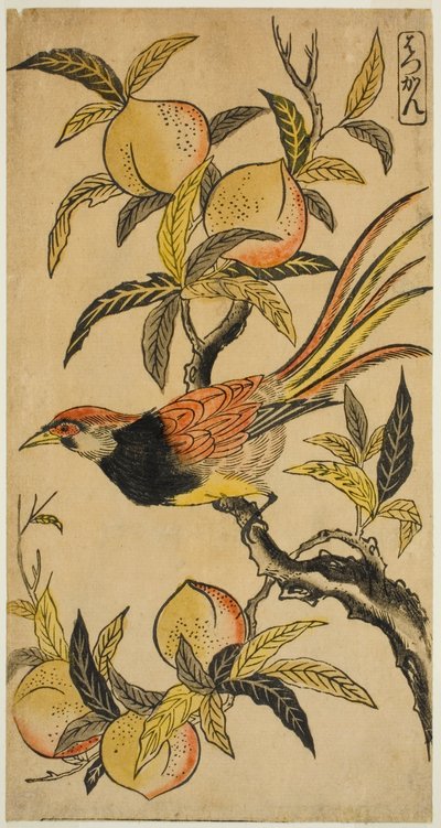 Faisão Prateado (Hakkan) de Nishimura Shigenaga