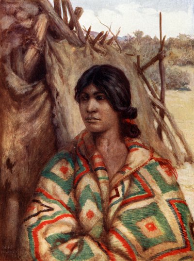 Um navaho indiano squaw de Norman Hardy