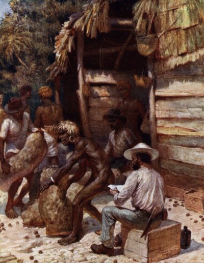 Johnnie Pratt com o seu Marfim Nuts em Simbo, Ilhas Salomão (cor litho) de Norman Hardy