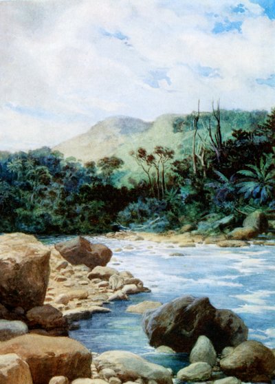 Cenário em Eromanga, New Hebrides, 1908 de Norman Hardy