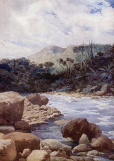 Os Rapids, Rio Williams, Ilha de Eromanga, Novas Hébridas (cor litho) de Norman Hardy