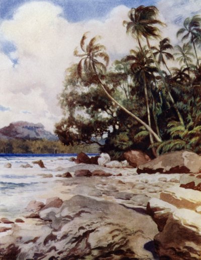 O recife perto de Simbo, Ilhas Salomão (cor litho) de Norman Hardy