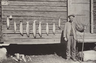 Pesca de truta de Norwegian Photographer