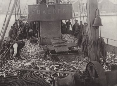 Pesca de arenque de inverno de Norwegian Photographer