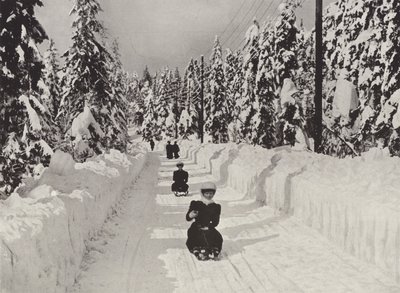 Esporte de Inverno perto de Kristiania de Norwegian Photographer