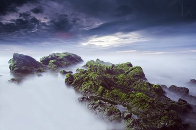 Paisagem marinha etérea e coberta de musgo de Nuno Araujo