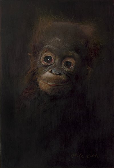 Bebé orangotango 1, 2009 (acrílico sobre madeira) de Odile Kidd