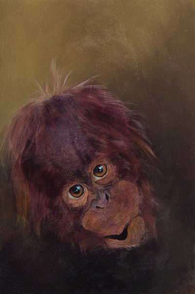 Bebé orangotango 2, 2010 (acrílico sobre madeira) de Odile Kidd