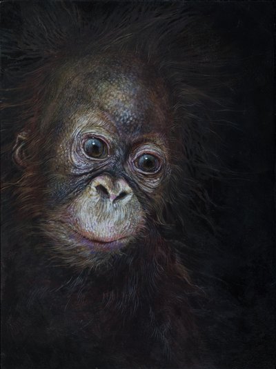 Bebé orangotango 3, 2015 (acrílico sobre madeira) de Odile Kidd