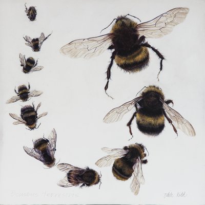 Bombus, 2015 (acrílico sobre madeira revestida a gesso) de Odile Kidd