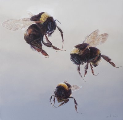 Voo de Bombus 1, 2011 (acrílico sobre madeira) de Odile Kidd