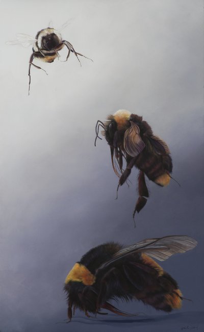Voo de Bombus 2, 2011 (acrílico sobre madeira) de Odile Kidd