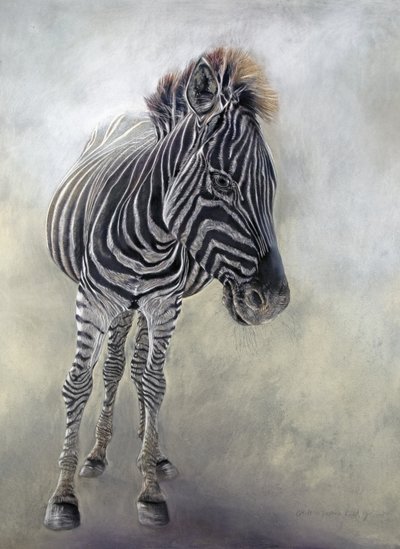 Equus burchelli 1, 2009 (carvão, conte e pastel de giz sobre papel Bockingford) de Odile Kidd