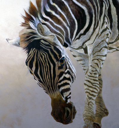 Equus burchelli 2 (pormenor), 2010 (acrílico sobre tela) de Odile Kidd