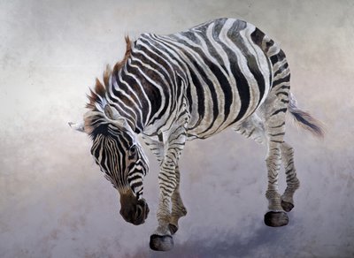Equus burchelli 2, 2010 (acrílico sobre tela) de Odile Kidd