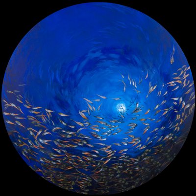 Peixe de vidro 2, 2009 (acrílico sobre linho sobre madeira) de Odile Kidd