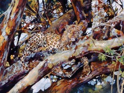 Leopardo do Quénia de Odile Kidd