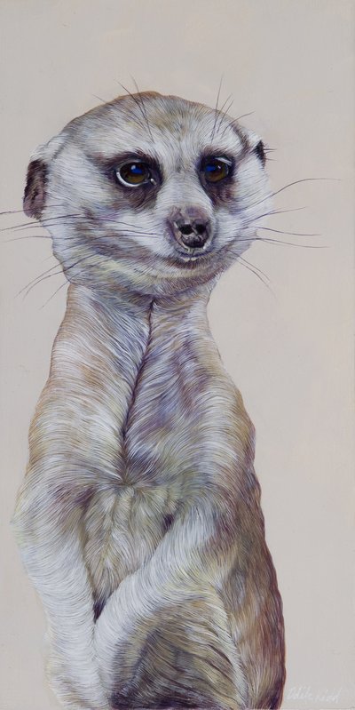Suricata 1, 2009 (acrílico sobre madeira) de Odile Kidd