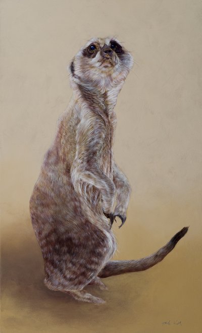 Suricata 2, 2010 (acrílico sobre madeira) de Odile Kidd